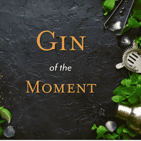 <h4><b>Blackboard special</b></h4><big>With over 80 gins available<br>we are excited to showcase our favourites</big>