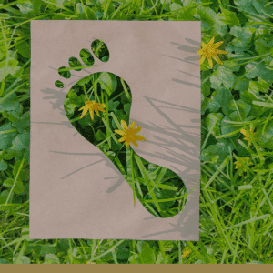 footprint