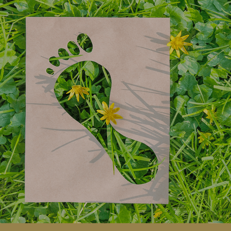 footprint footprint