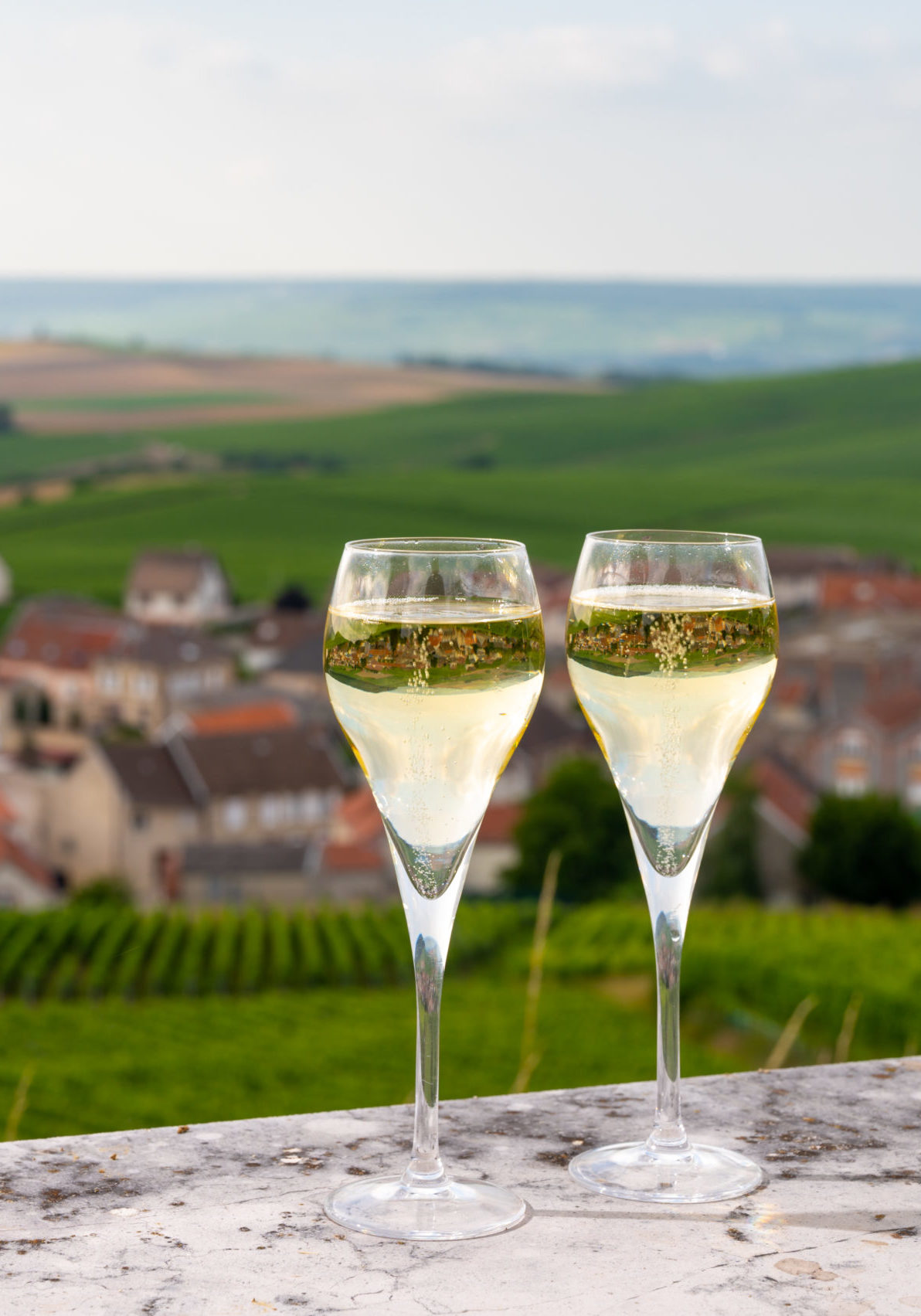 Tasting of brut and demi-sec white champagne sparkling wine from special flute glasses with view on green Champagne vineyards, France