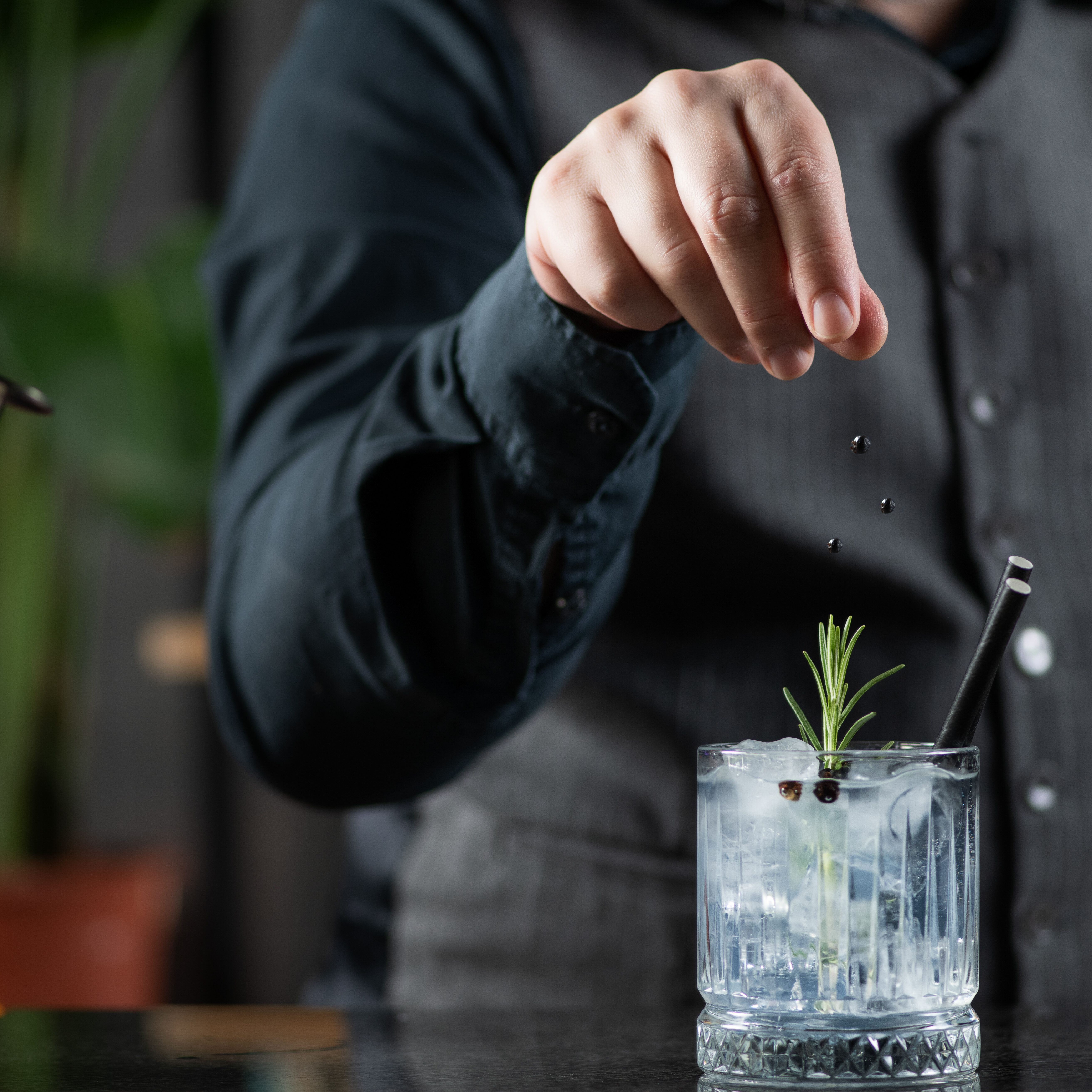 Crafted Gin Tonic cocktail served with the aromatic touch of dried juniper berries, expertly prepared by a skilled bartender